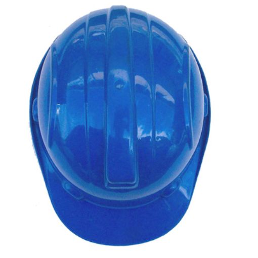 图片 NIETZ SAFETY HELMET 960 BLUE