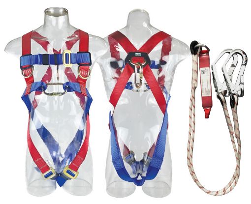 Picture of Picasaf Body Harness 980215 With 9815