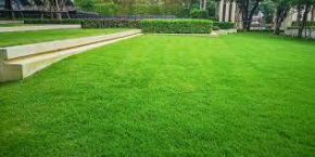 Picture for category Garden And Lawn