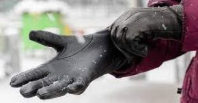 Picture for category Gloves