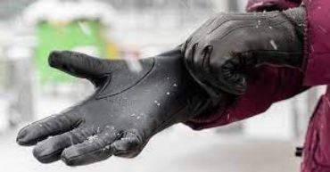 Picture for category Gloves