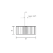 图片 NIETZ MOUNTED FLAP WHEEL (ALUMINIUM OXIDE) LS309X 20X15X6MM 80#