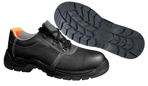 图片 NIETZ PICASAF SIRIM DOSH LACE SHOES 1011 #37/4