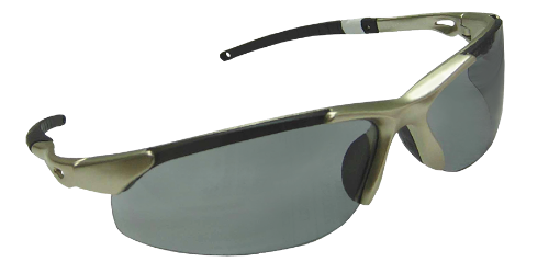 图片 NIETZ SPECTACLE GOLD FRAME J42 SMOKE