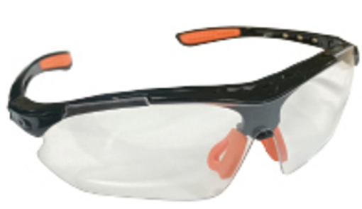 Picture of NIETZ SPECTACLE ST212 CLEAR