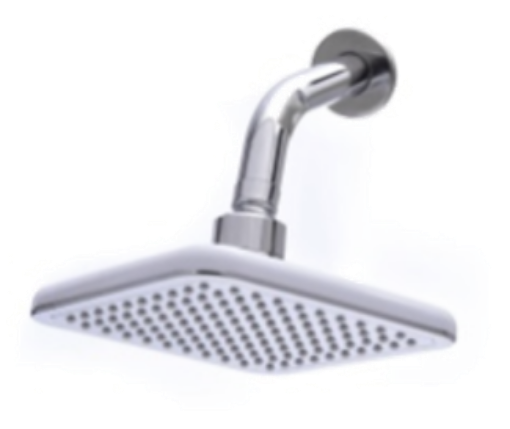 图片 NIETZ SHOWER HEAD 601