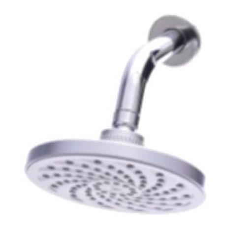Picture of NIETZ SHOWER HEAD 602