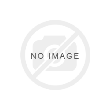 Picture of MEDIUM DUTY SINGLE POLE EXTEN LADDER 08FT